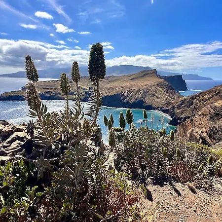 Casa Branca In * Funchal (Madeira)